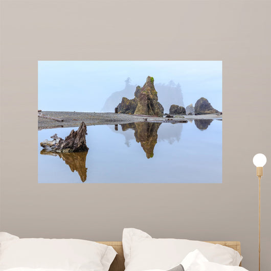 Foggy Morning Ruby Beach Wall Decal Design 2