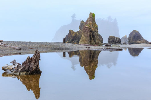 Foggy Morning Ruby Beach Wall Decal Design 2