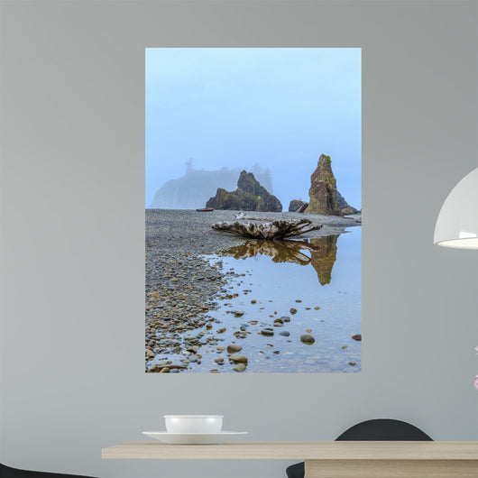Foggy Morning Ruby Beach Wall Decal Design 1