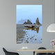 Foggy Morning Ruby Beach Wall Decal Design 1