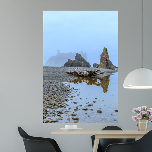 Foggy Morning Ruby Beach Wall Decal Design 1