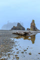 Foggy Morning Ruby Beach Wall Decal Design 1