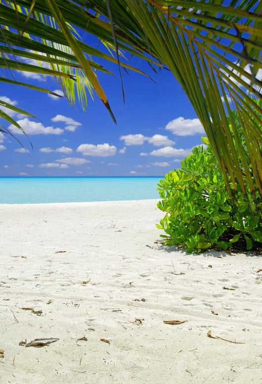 Beautiful Tropical Beach with Wall Decal