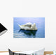 When Maintaining Swan Wall Decal