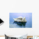 When Maintaining Swan Wall Decal