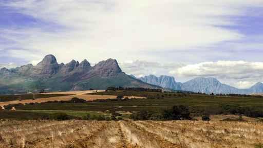 Plains and Mountains Wall Decal