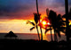 Palm Tree Sandy Beach Wall Decal Design 3