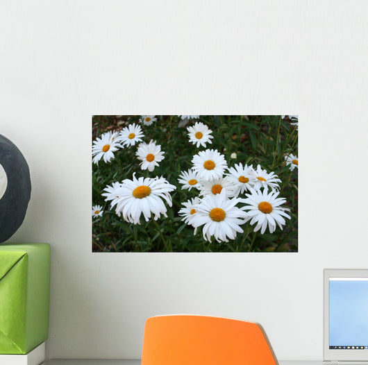 Field Daisies Wall Decal