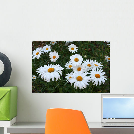 Field Daisies Wall Decal