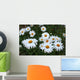 Field Daisies Wall Decal
