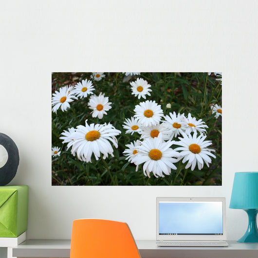 Field Daisies Wall Decal