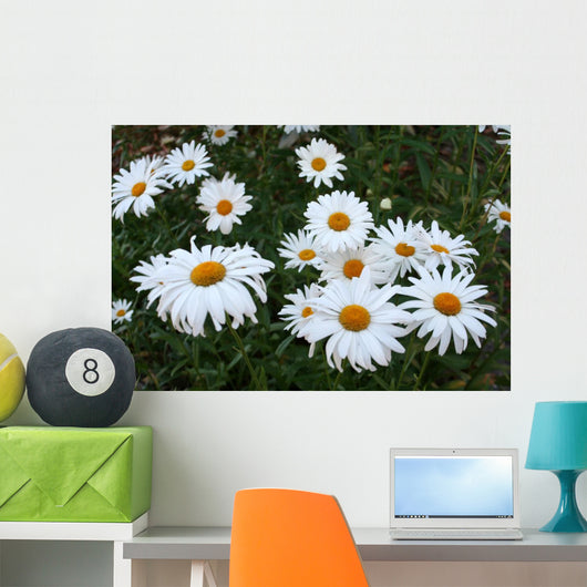 Field Daisies Wall Decal