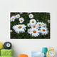 Field Daisies Wall Decal