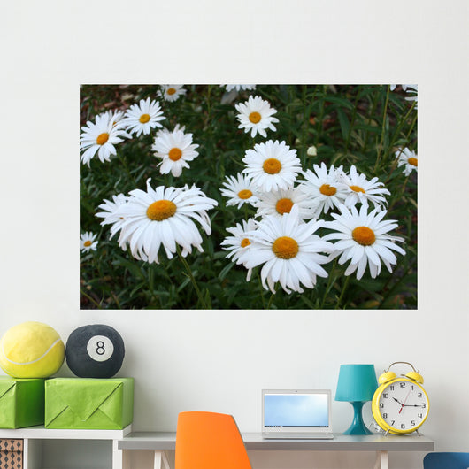 Field Daisies Wall Decal