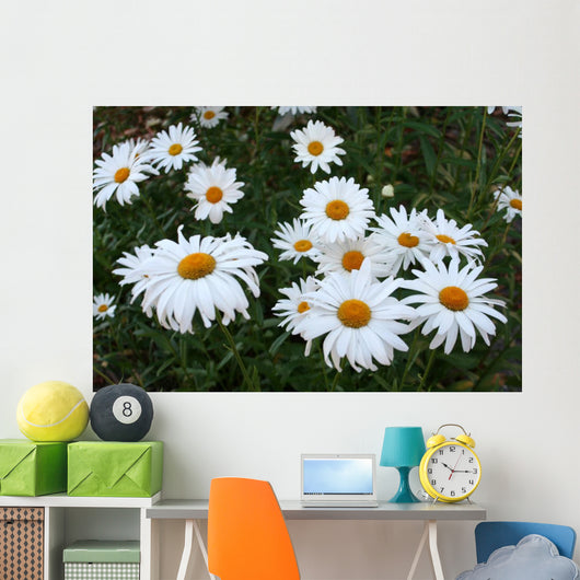 Field Daisies Wall Decal