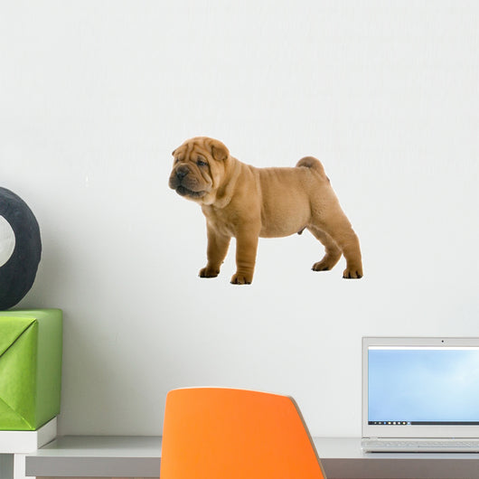 Chinese Shar-pei Puppy Wall Decal