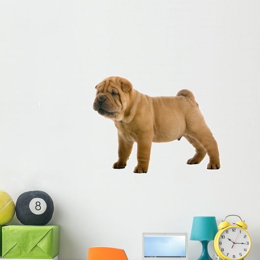 Chinese Shar-pei Puppy Wall Decal