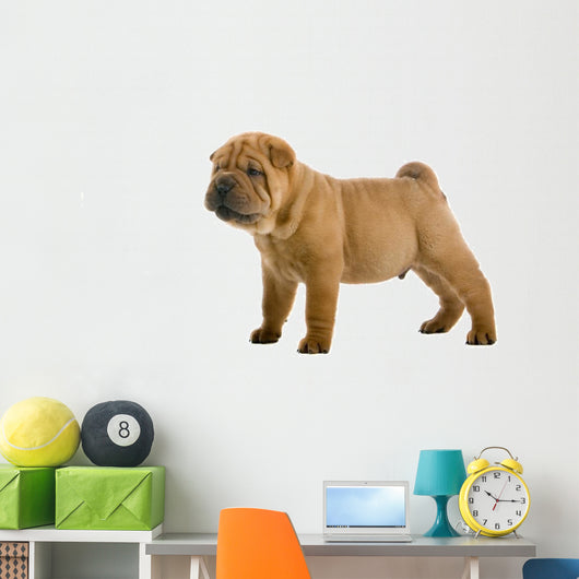 Chinese Shar-pei Puppy Wall Decal