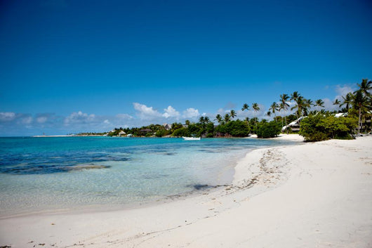 Beautiful Caribbean Beach Wall Decal