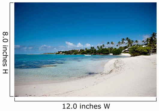 Beautiful Caribbean Beach Wall Decal