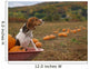 Beagle Pumpkin Fiel Wall Decal