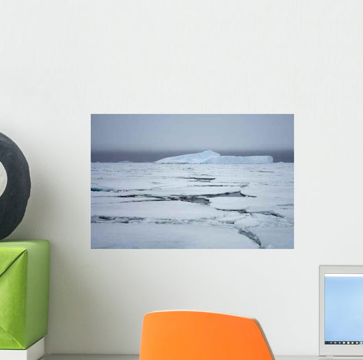 Pack Wall Decal