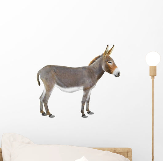 Donkey Wall Decal