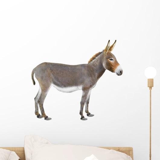 Donkey Wall Decal