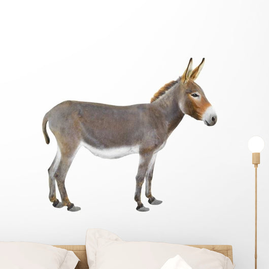 Donkey Wall Decal