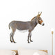 Donkey Wall Decal