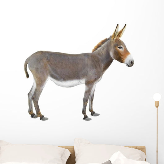Donkey Wall Decal