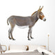 Donkey Wall Decal