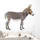 Donkey Wall Decal
