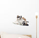 Shih Tzu Puppy Wall Decal