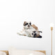 Shih Tzu Puppy Wall Decal