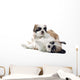 Shih Tzu Puppy Wall Decal