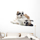 Shih Tzu Puppy Wall Decal