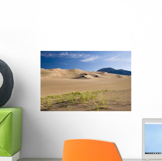 Great Sand Dune National Wall Decal