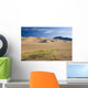 Great Sand Dune National Wall Decal