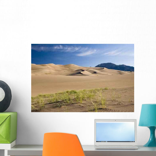 Great Sand Dune National Wall Decal
