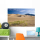 Great Sand Dune National Wall Decal