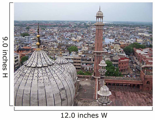 New Delhi Skyline Wall Decal