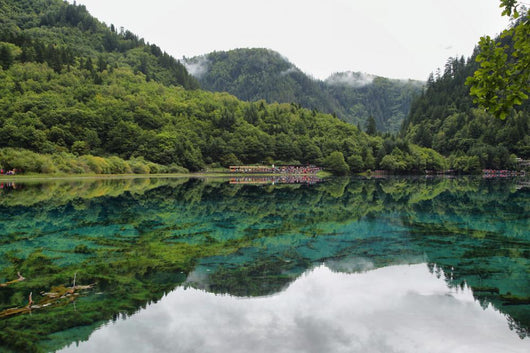 Multicolored Lake I Jiuzhaigou Wall Decal