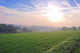 Early Morning Sunrise Meadow Wall Decal