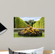 Fountain Gardens Versailles Palace Wall Decal