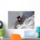 Returning from Mountain Summit Wall Decal