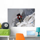 Returning from Mountain Summit Wall Decal