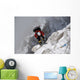 Returning from Mountain Summit Wall Decal