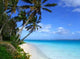 Island Lagoon Wall Decal