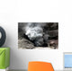 Eruption Wall Decal